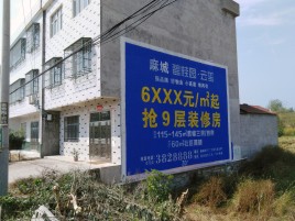 邵原墙体广告质量分析