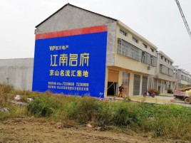 邵原农村墙体广告在不同形式上面展现的不同特色