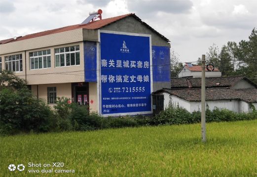 邵原决定墙体广告价格的因素有哪些?