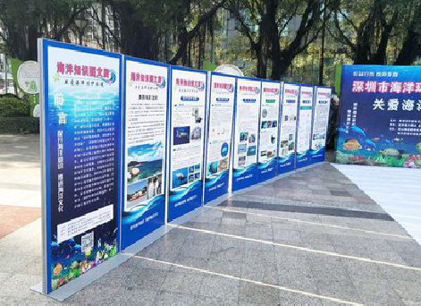 邵原KT板的种类和知识。